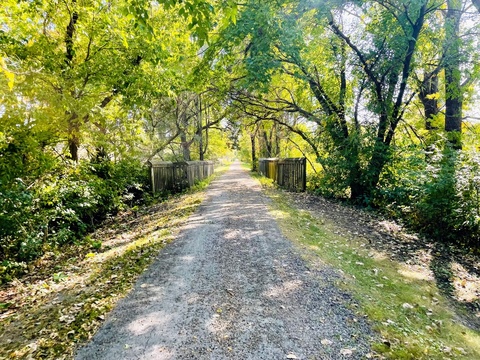 Mature trees shade the Hoover Trail near West Branch, Iowa.