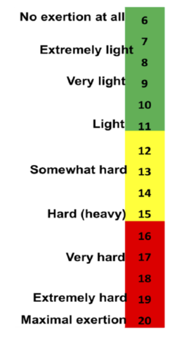 Borg RPE Scale